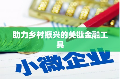 天桥助力乡村振兴的关键金融工具