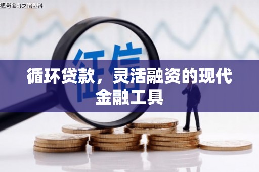 天桥循环贷款，灵活融资的现代金融工具