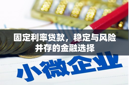 天桥固定利率贷款，稳定与风险并存的金融选择