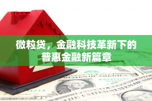 天桥微粒贷，金融科技革新下的普惠金融新篇章