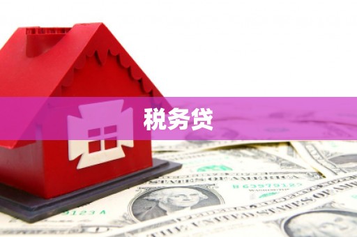天桥税务贷