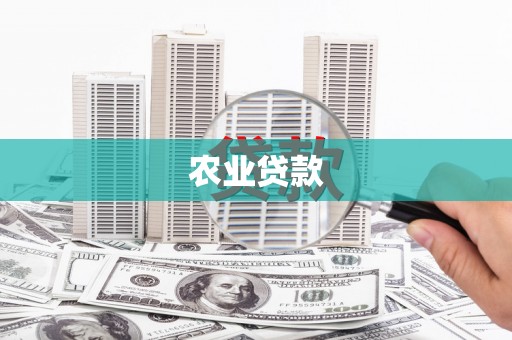 天桥农业贷款
