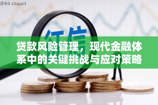 天桥贷款风险管理，现代金融体系中的关键挑战与应对策略