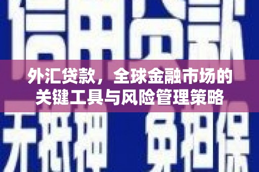 天桥外汇贷款，全球金融市场的关键工具与风险管理策略