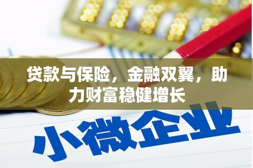 天桥贷款与保险，金融双翼，助力财富稳健增长