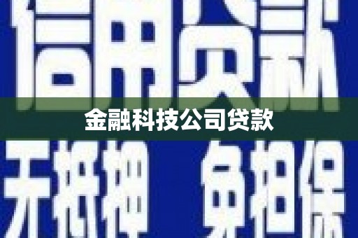 天桥金融科技公司贷款