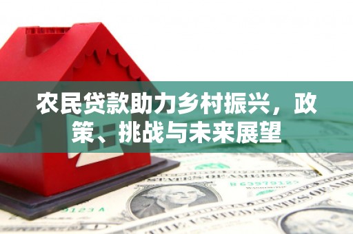 天桥农民贷款助力乡村振兴，政策、挑战与未来展望