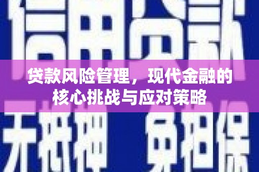 天桥贷款风险管理，现代金融的核心挑战与应对策略