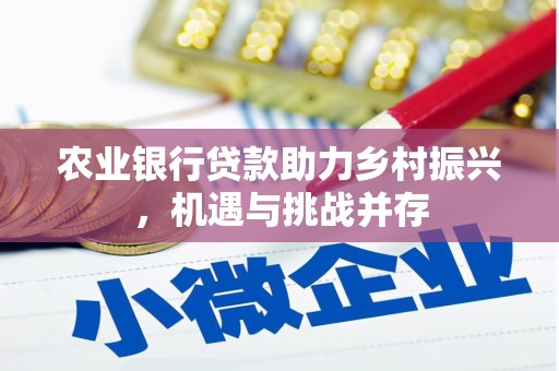 天桥农业银行贷款助力乡村振兴，机遇与挑战并存