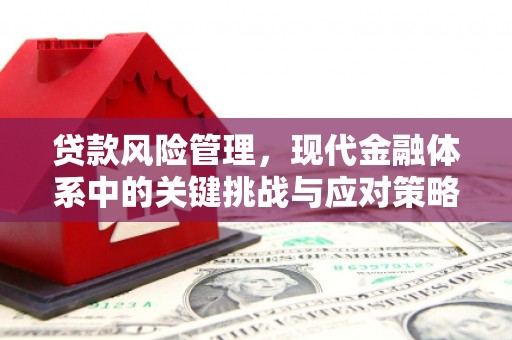 天桥贷款风险管理，现代金融体系中的关键挑战与应对策略