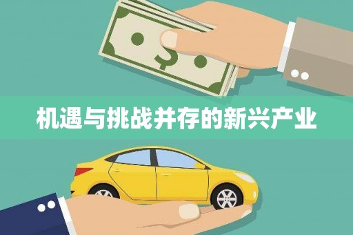 天桥机遇与挑战并存的新兴产业