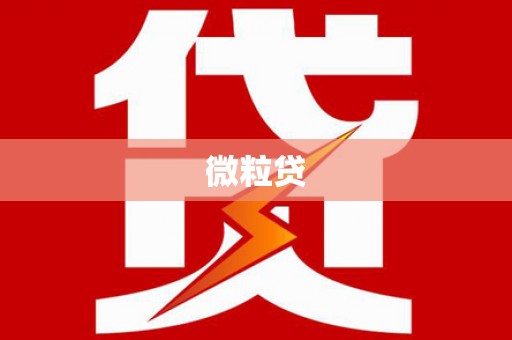 天桥微粒贷