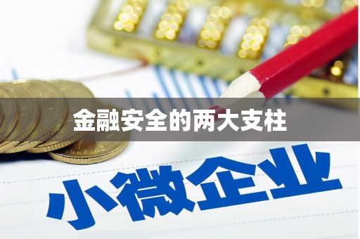 天桥金融安全的两大支柱