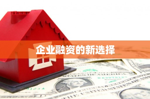 天桥企业融资的新选择