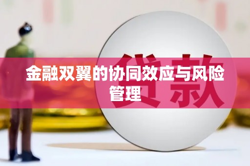 天桥金融双翼的协同效应与风险管理