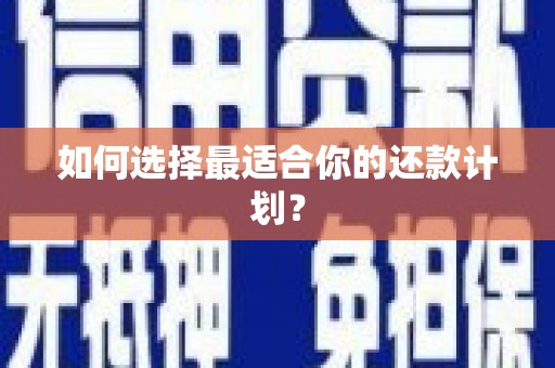 天桥如何选择最适合你的还款计划？
